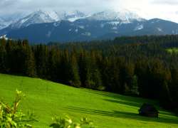 Буковина Татранская.